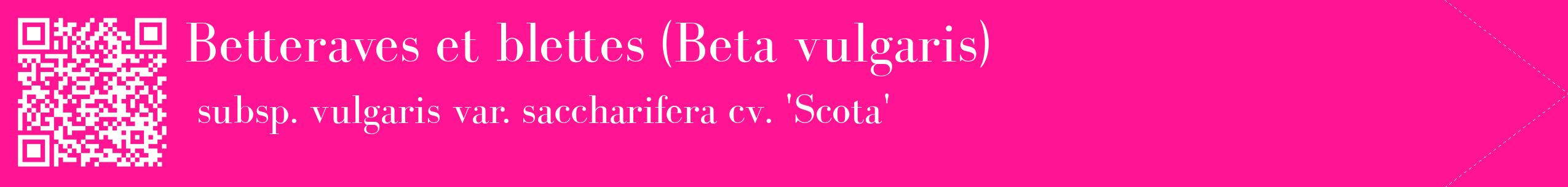 étiquette 2