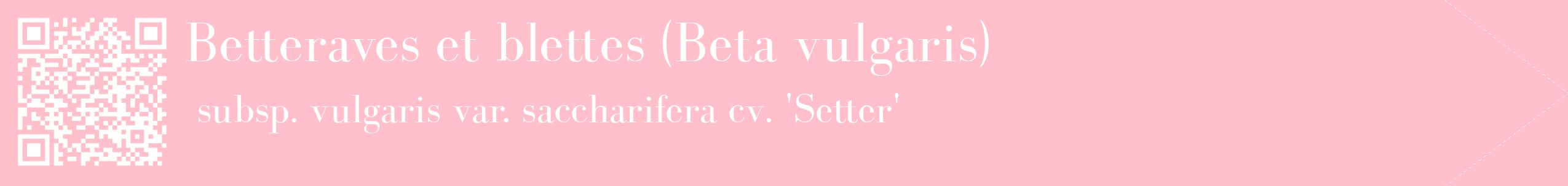 étiquette 2