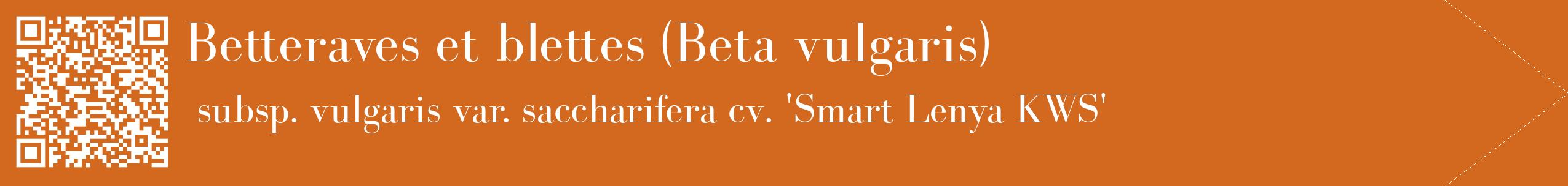 étiquette 2