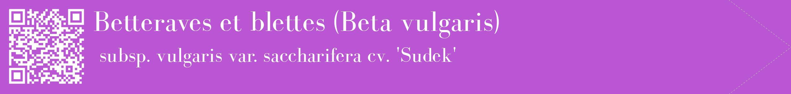 étiquette 2