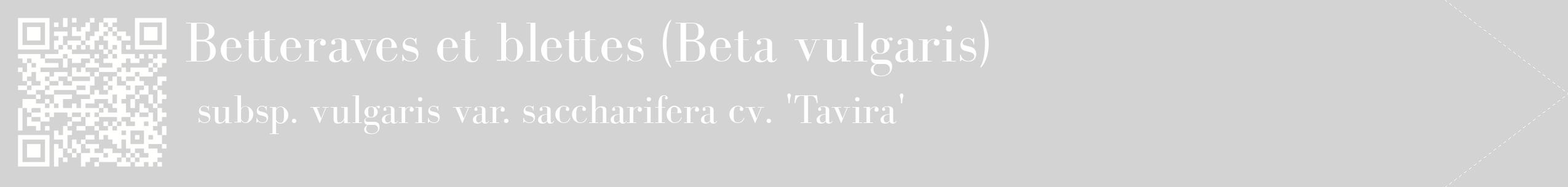 étiquette 2