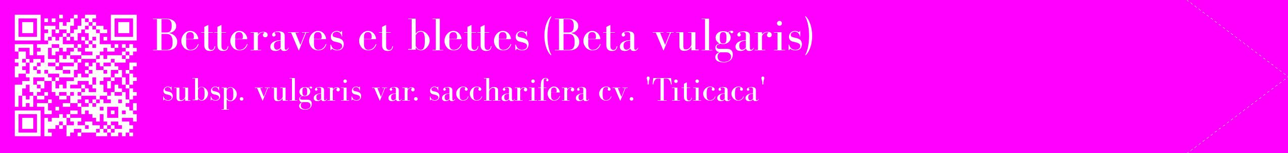 étiquette 2