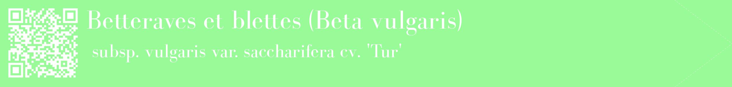 étiquette 2