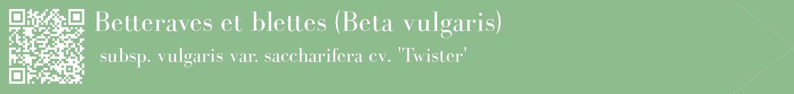 étiquette 2