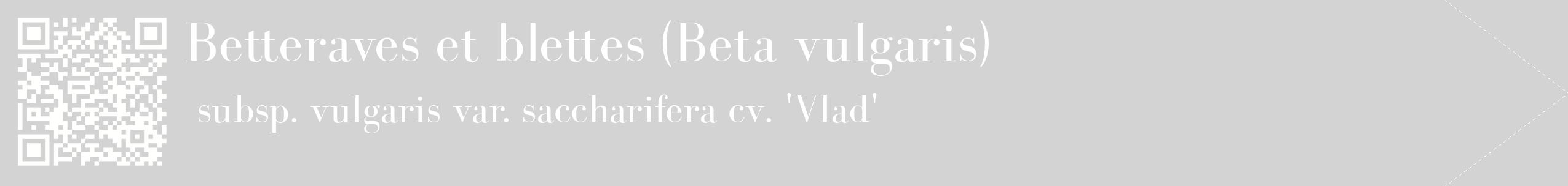 étiquette 2