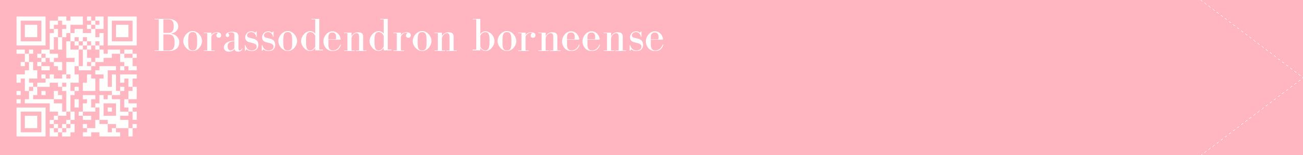 étiquette 2