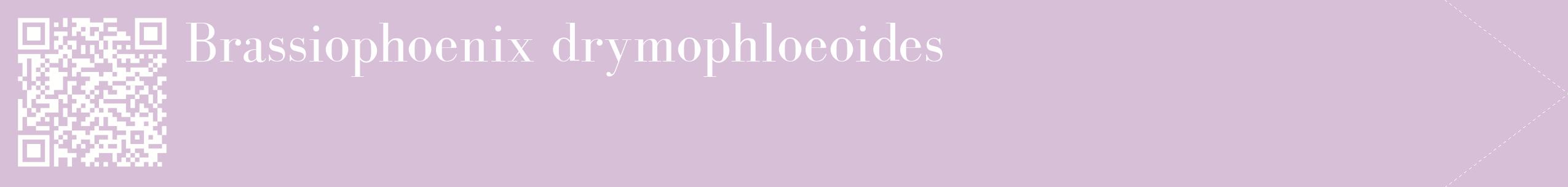 étiquette 2