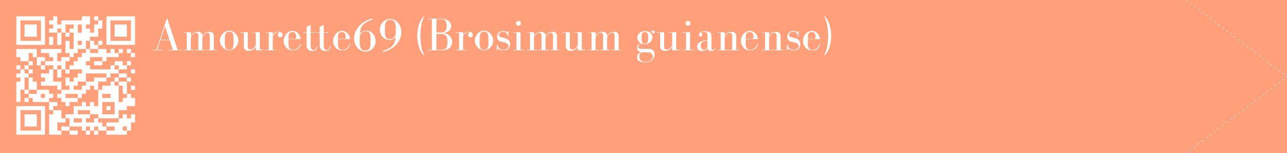 étiquette 2