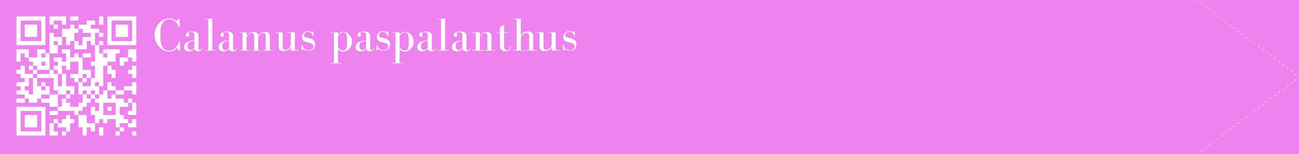 étiquette 2