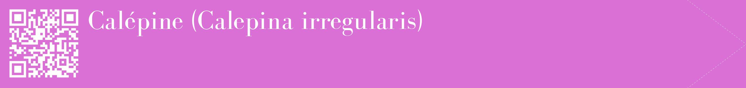 étiquette 2