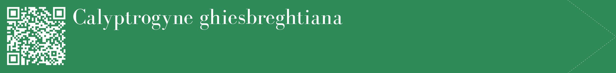 étiquette 2