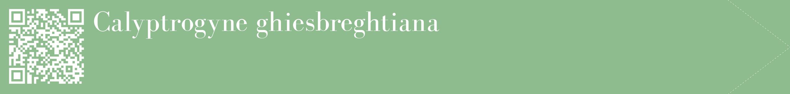 étiquette 2