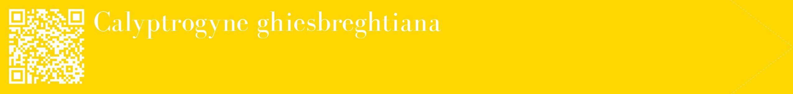 étiquette 2