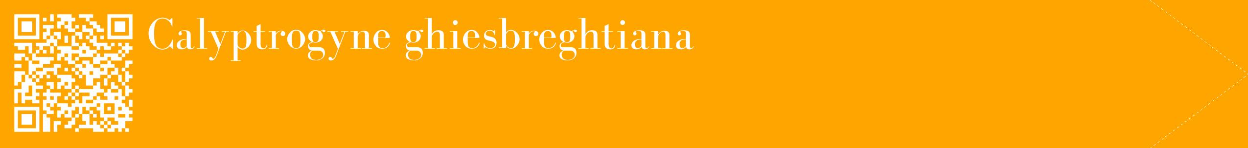 étiquette 2