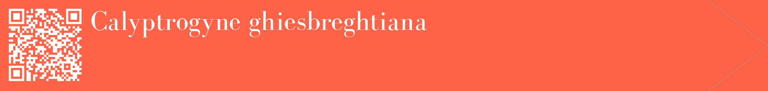 étiquette 2