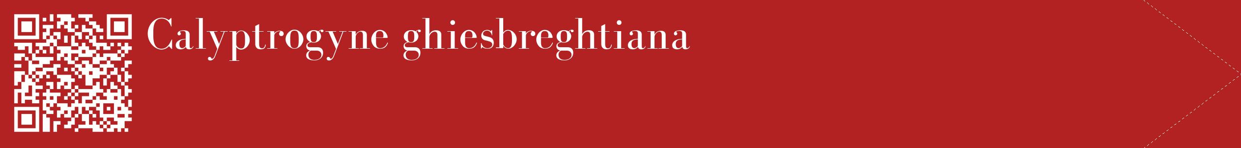 étiquette 2
