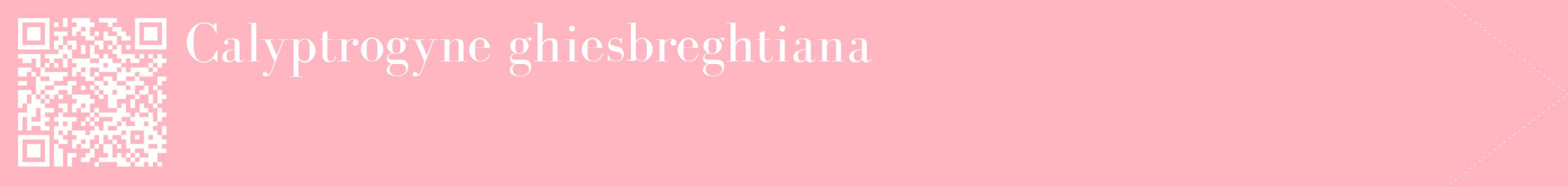 étiquette 2