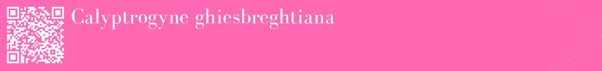 étiquette 2