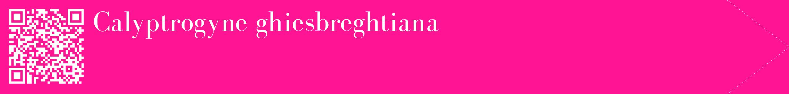 étiquette 2
