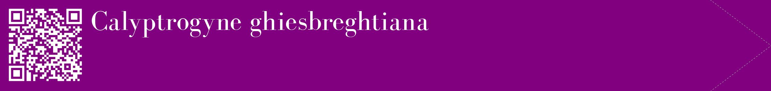 étiquette 2