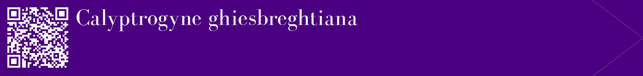 étiquette 2