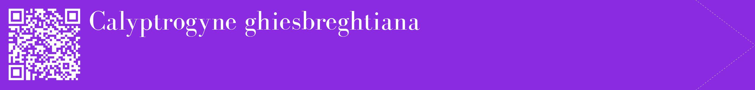 étiquette 2