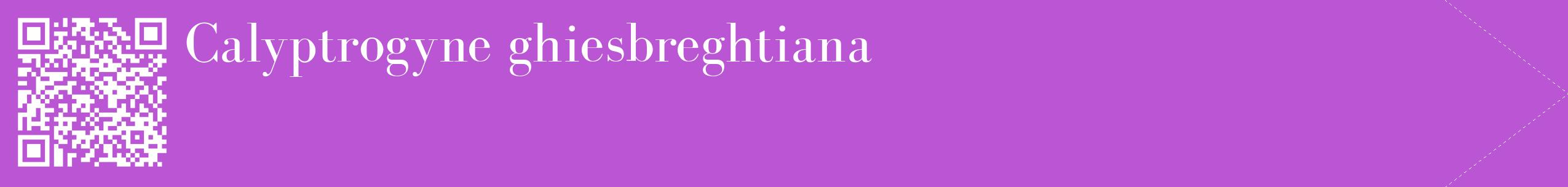 étiquette 2
