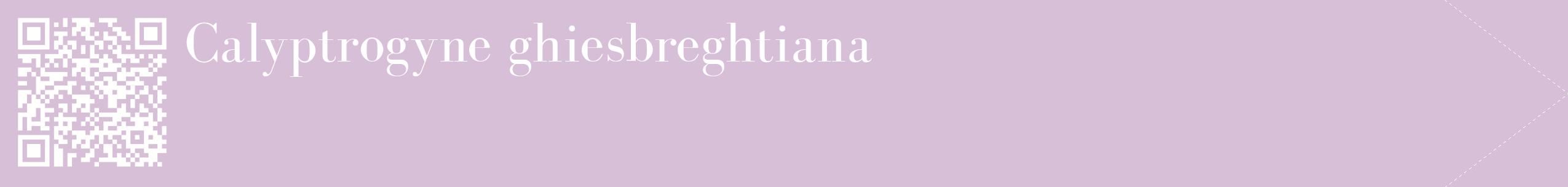 étiquette 2