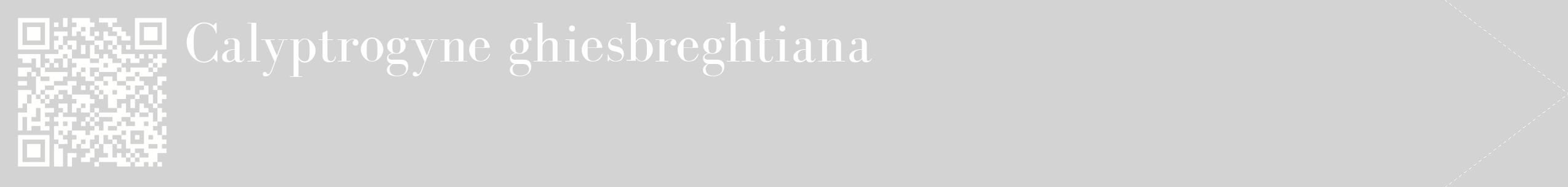 étiquette 2
