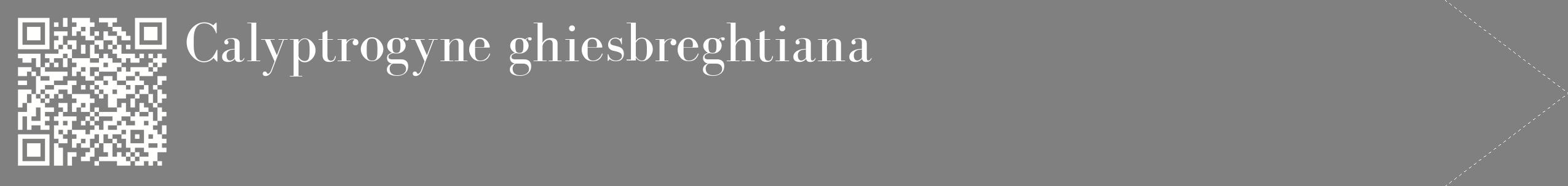étiquette 2
