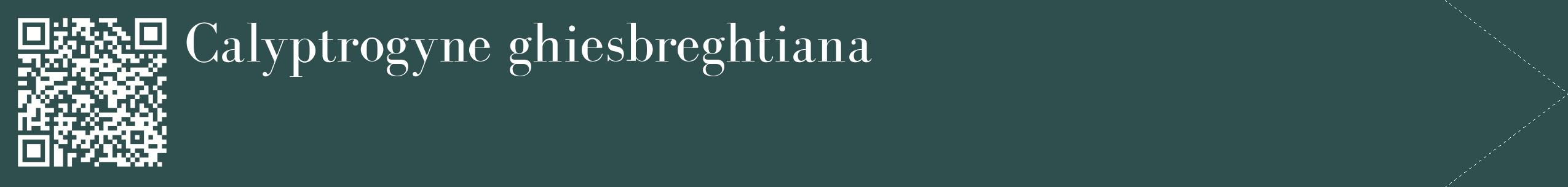 étiquette 2