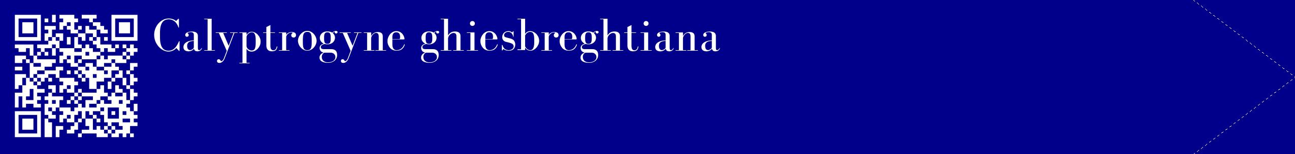 étiquette 2