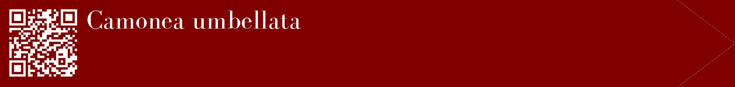 étiquette 2