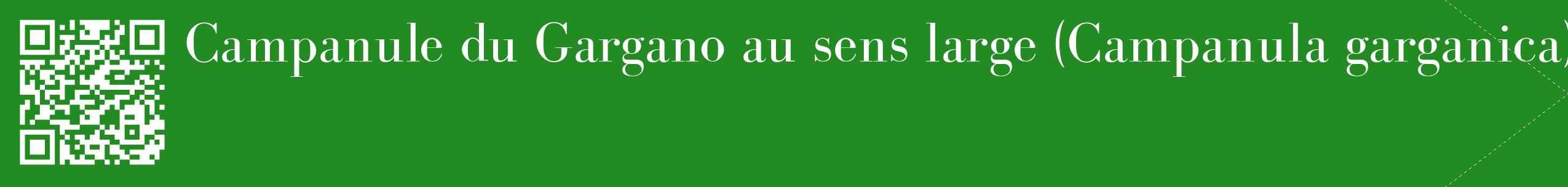 étiquette 2