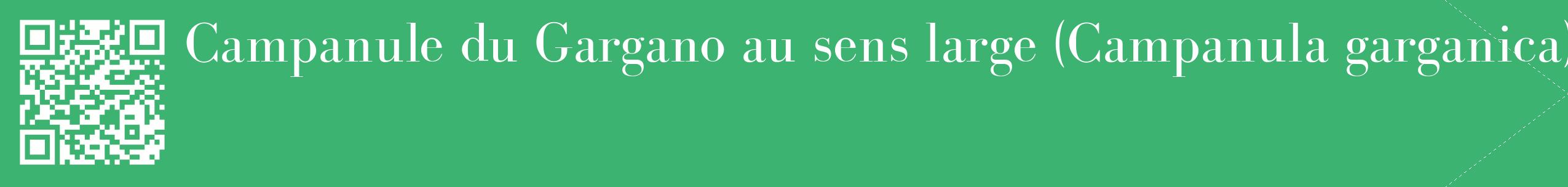 étiquette 2