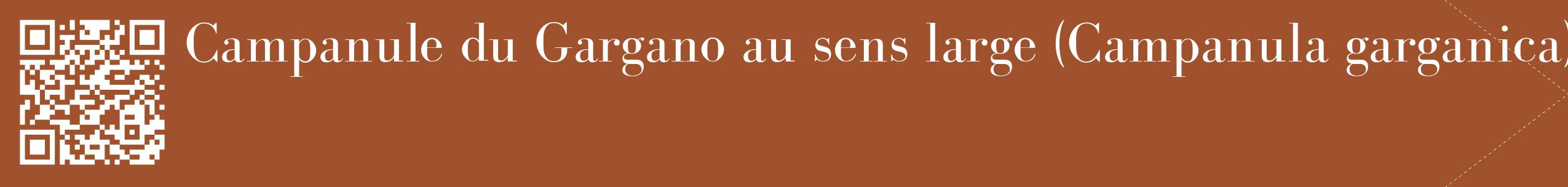 étiquette 2