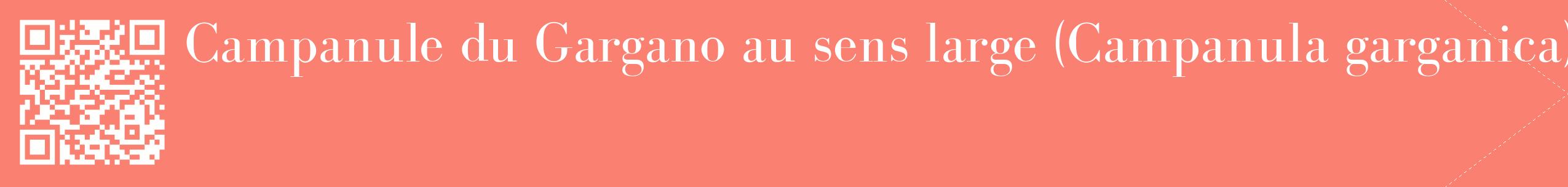 étiquette 2