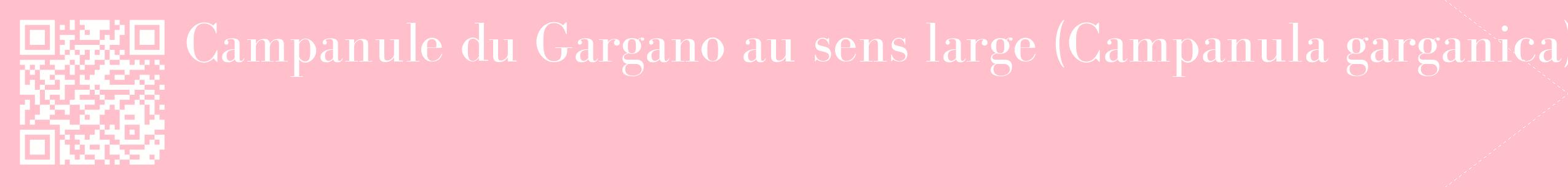 étiquette 2