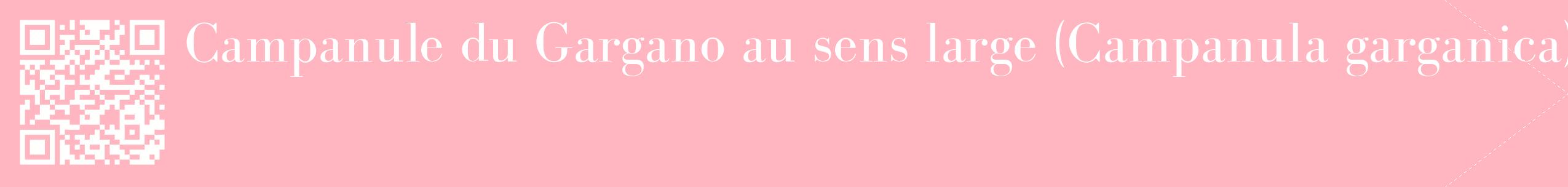 étiquette 2