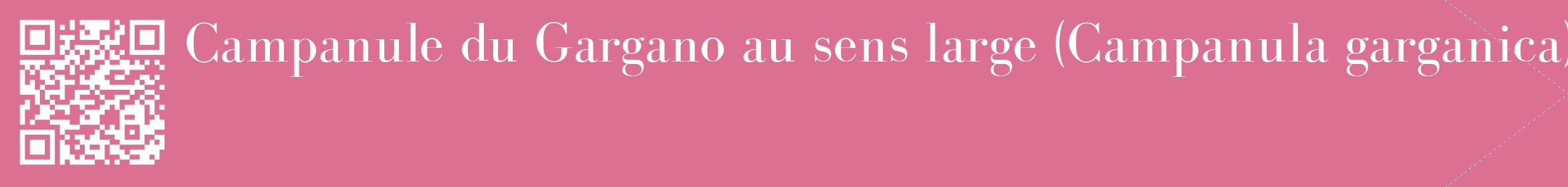 étiquette 2