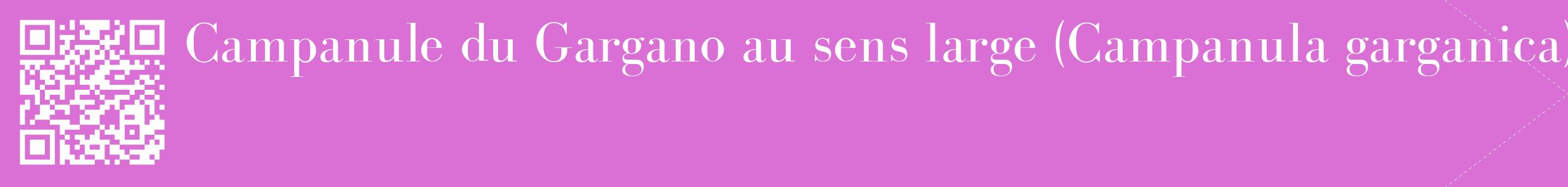 étiquette 2