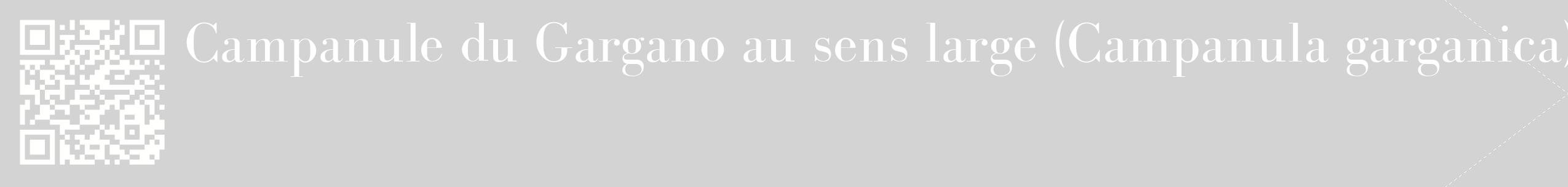étiquette 2