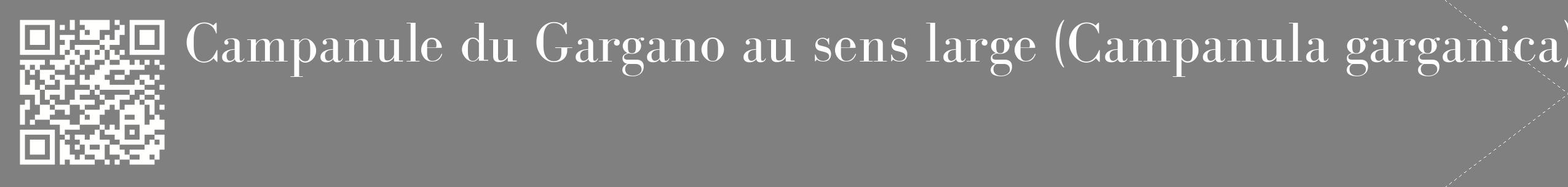 étiquette 2