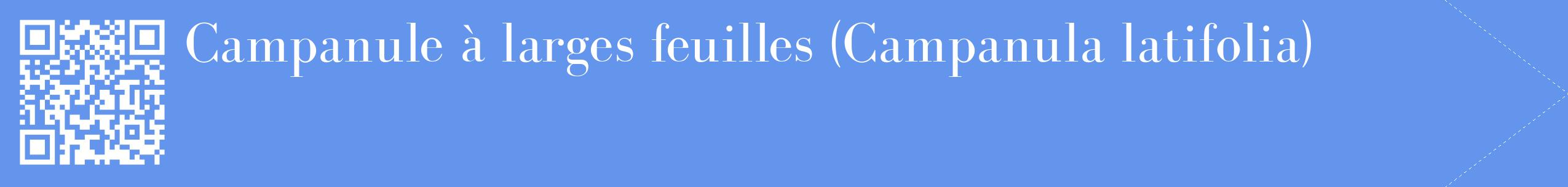 étiquette 2