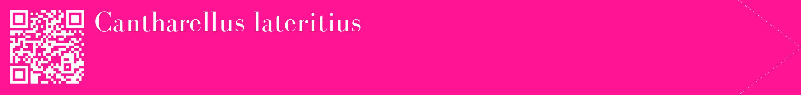 étiquette 2