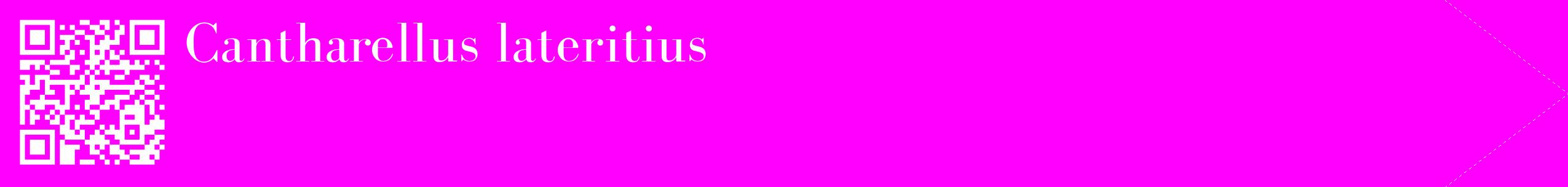 étiquette 2