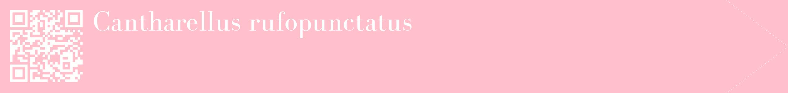 étiquette 2