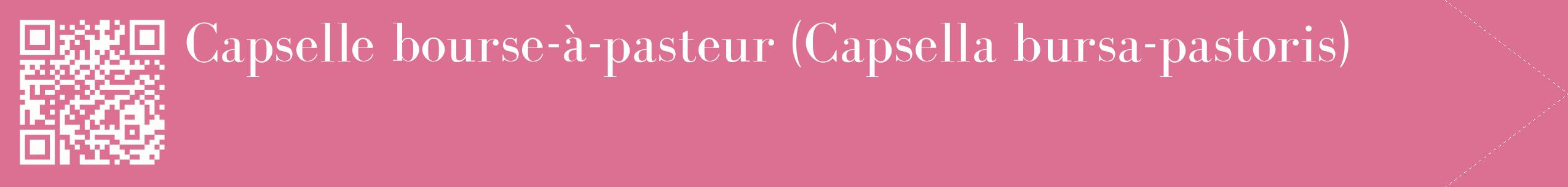 étiquette 2