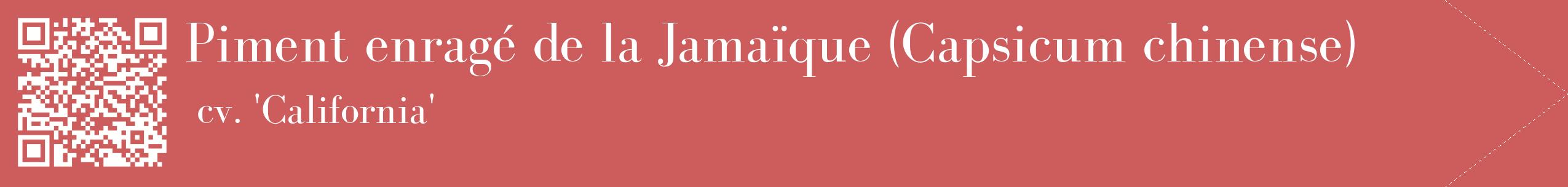 étiquette 2
