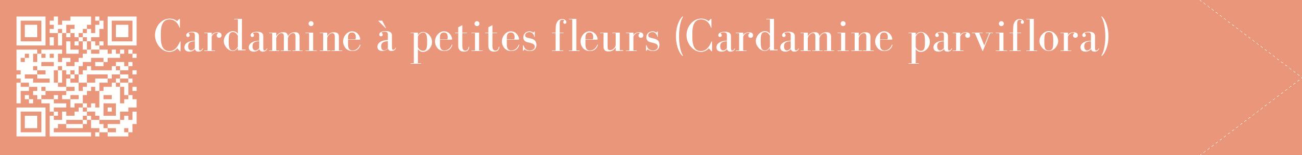 étiquette 2
